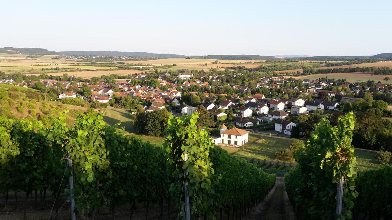 Haus Mit Seele Im Nahetal Weinsheim  외부 사진