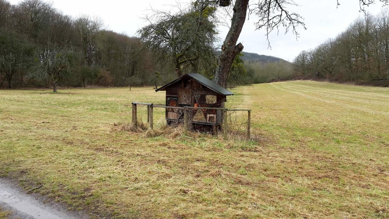 Haus Mit Seele Im Nahetal Weinsheim  외부 사진