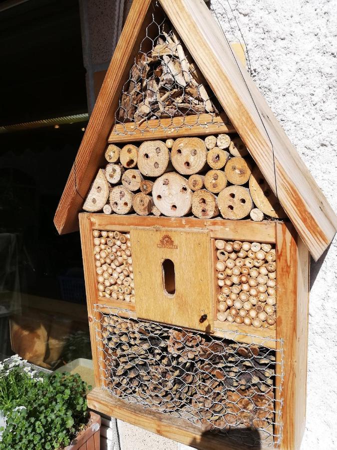 Haus Mit Seele Im Nahetal Weinsheim  외부 사진