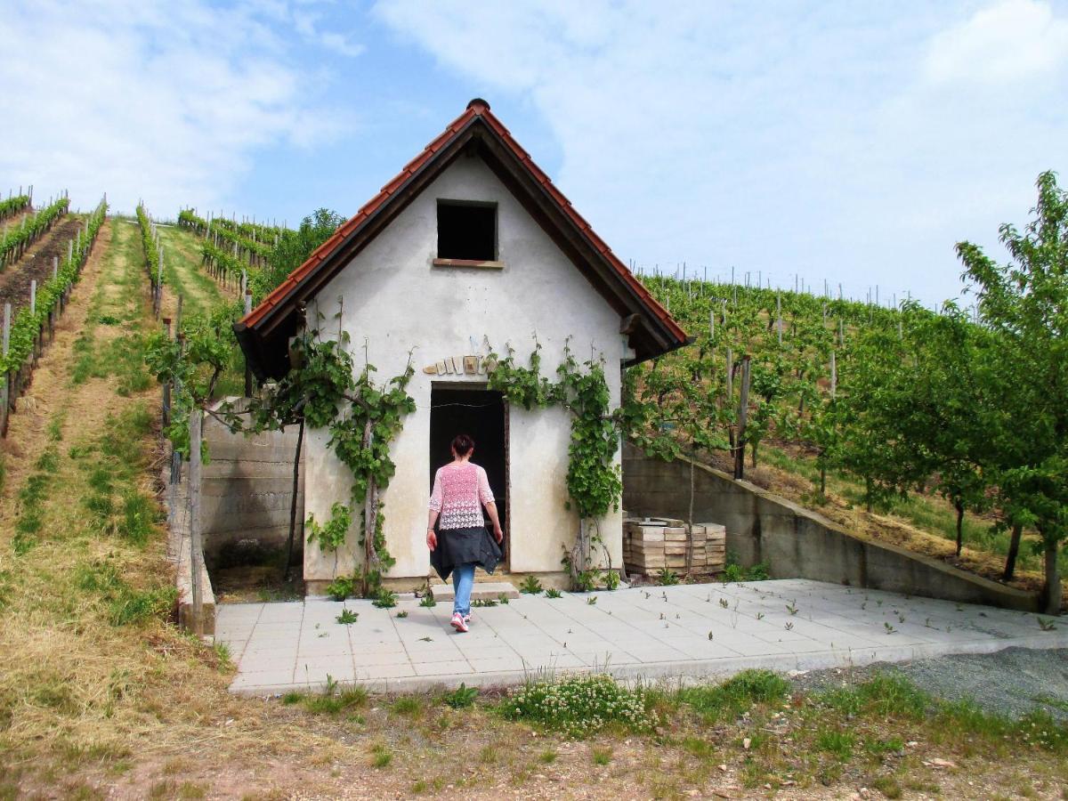 Haus Mit Seele Im Nahetal Weinsheim  외부 사진