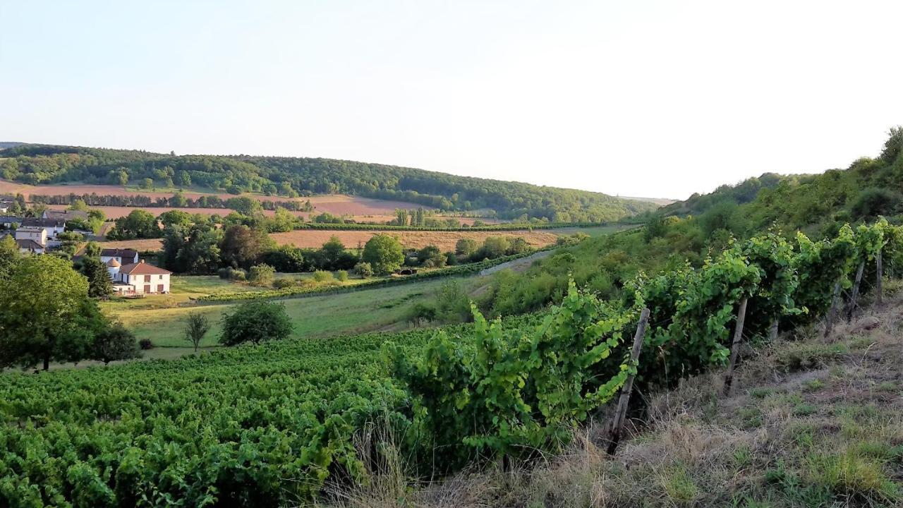 Haus Mit Seele Im Nahetal Weinsheim  외부 사진