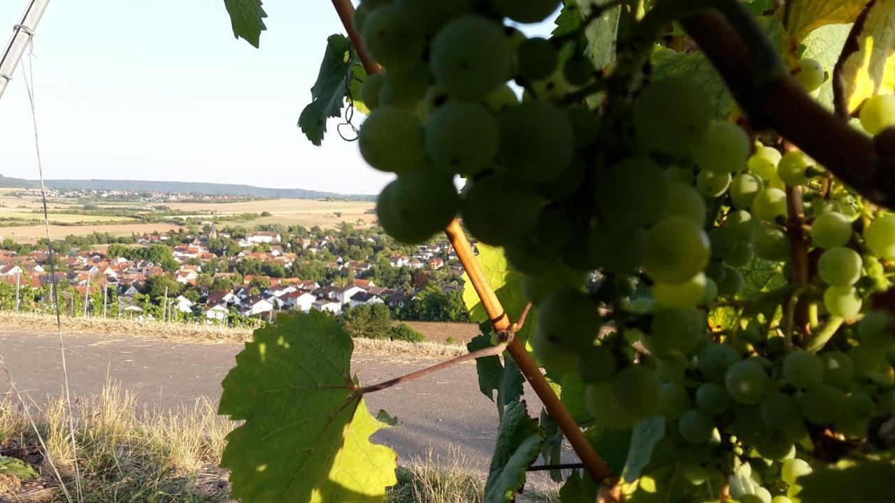 Haus Mit Seele Im Nahetal Weinsheim  외부 사진